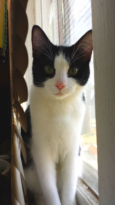 Keeta