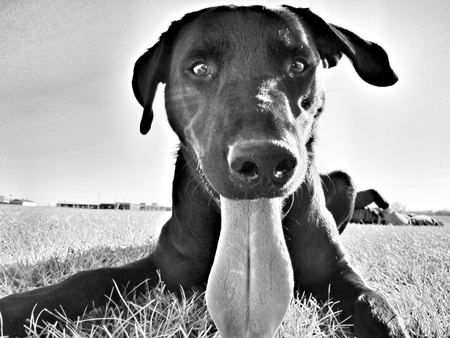Oliver