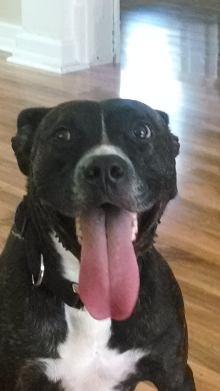 Tico