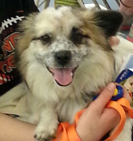 Buddy