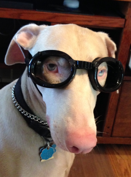 Mr. Deeds