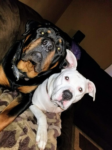 Presley&Nena 