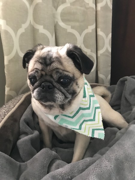 Marley