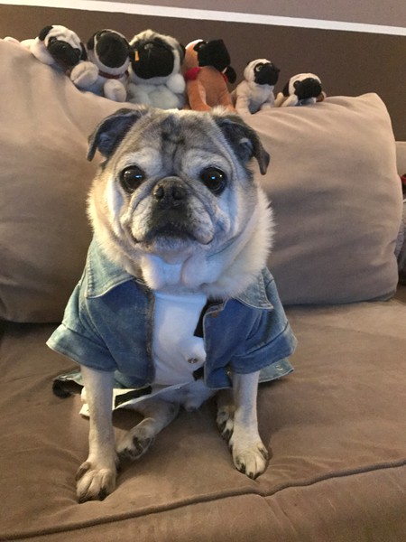 Rudy