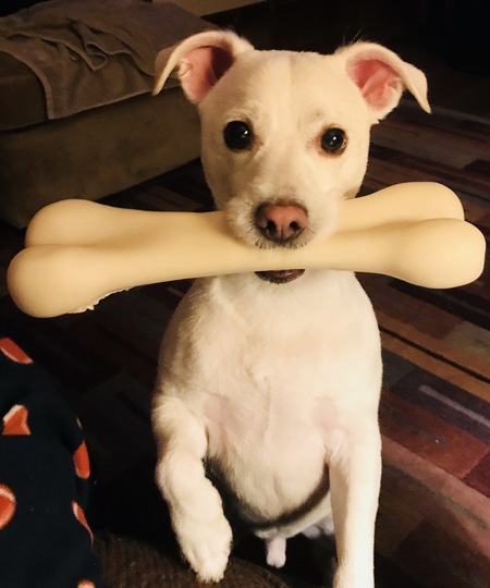 Milo