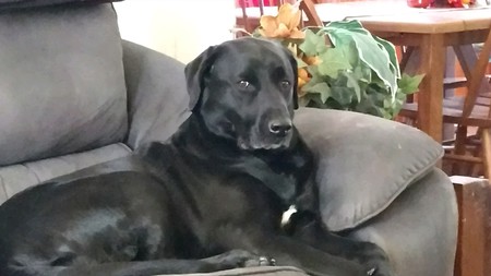 Capone