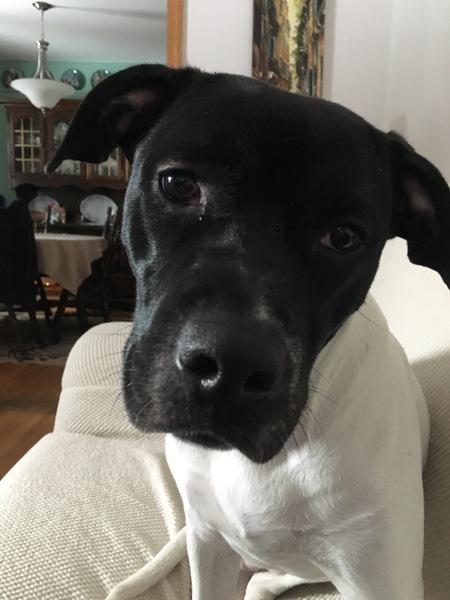 Fiona