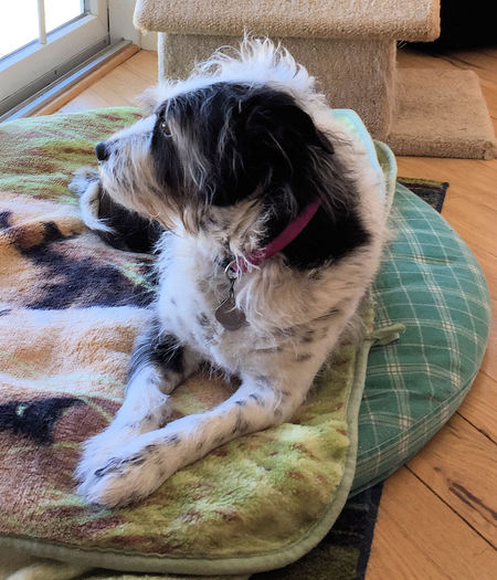 Lucy