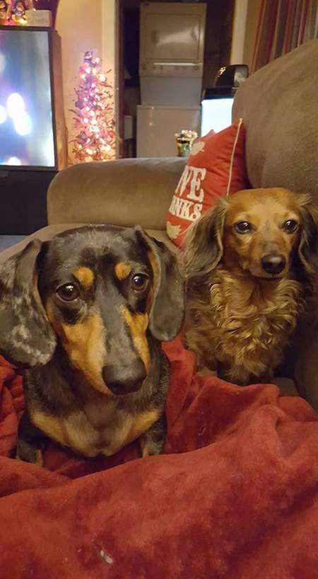 Izzy & Henry