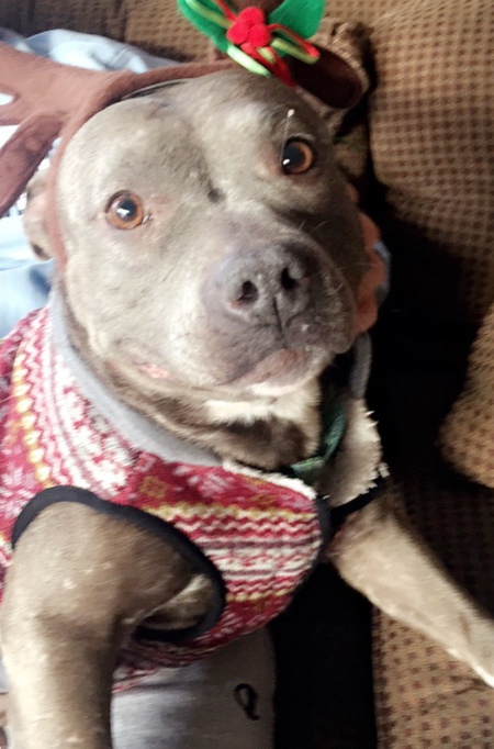 Bella Wiltsie