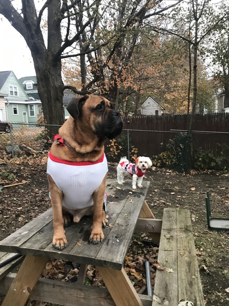 Triton and Little Beyoncé