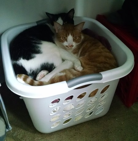 Captain James T. Kirk & Baldur, First of His Name