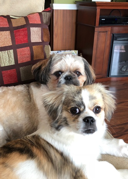 Jeter and Bella
