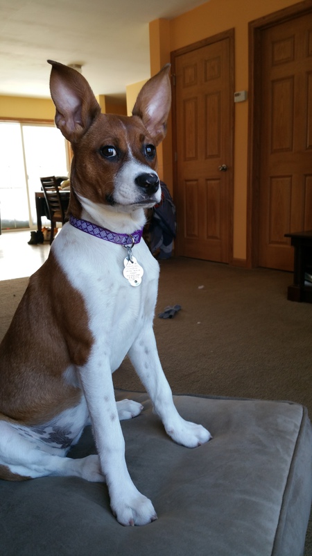 Mimi