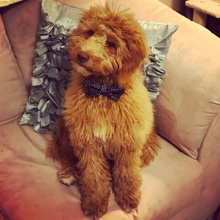Finn
