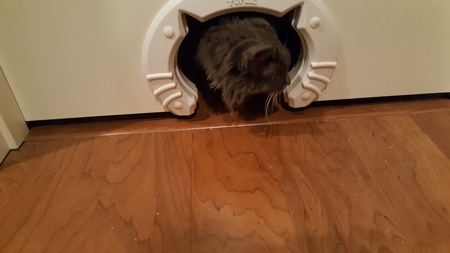 Cindy Fuzzbucket
