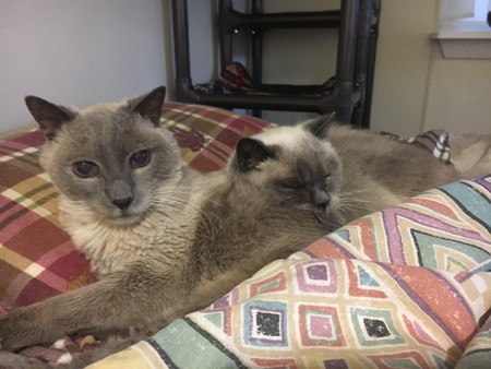 Pierre and Gracie Cove