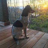 Entry image for Mike