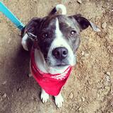 Entry image for Wiley