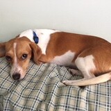 Entry image for Summer