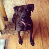 Entry image for Zelda