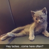 Entry image for Allen