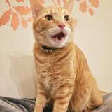 Entry image for Tweekers