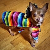 Entry image for Toby