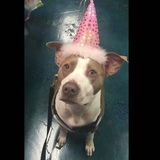 Entry image for Zoey