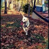 Entry image for Lucy