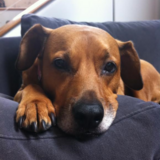 Entry image for Maggie