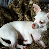 Entry image for Chloe