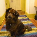 Entry image for Ruca