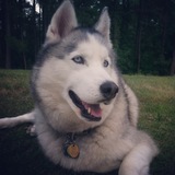 Entry image for Denali