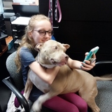 Entry image for ROSCOE