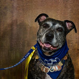 Entry image for BEEMER