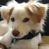 Entry image for Kiran