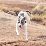 Entry image for Rayna 