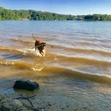 Entry image for Berkley