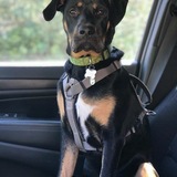 Entry image for Porter