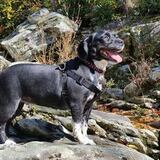 Entry image for Georgia