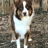 Entry image for Eden