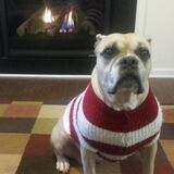 Entry image for Ruby