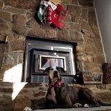 Entry image for Phantom