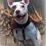 Entry image for Radar