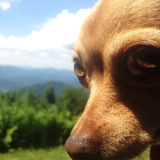 Entry image for Miz Sayrah 