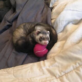 Entry image for Jinn