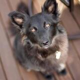 Entry image for Olivia