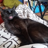 Entry image for Matilda 