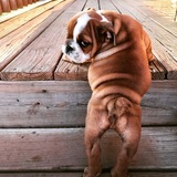 Entry image for Hazie Mae 